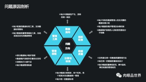 集團數(shù)據(jù)管控與數(shù)據(jù)治理解決方案 從數(shù)據(jù)處理到智能決策
